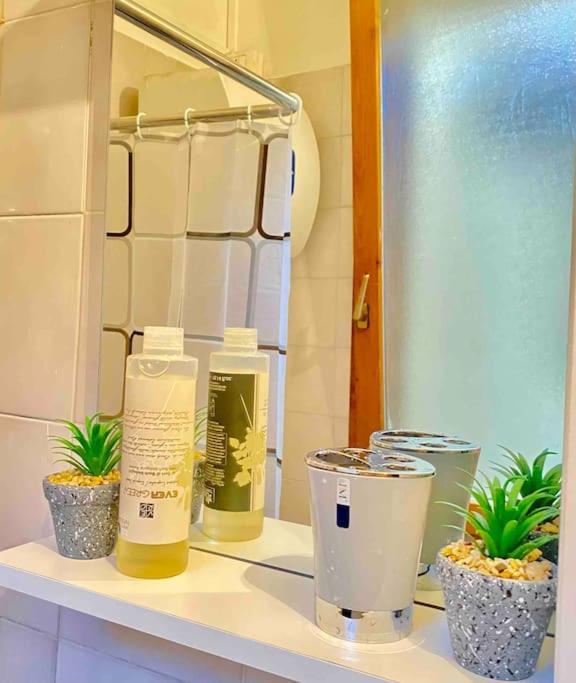 Low-Cost Teatro Romano Apartment เวโรนา ภายนอก รูปภาพ